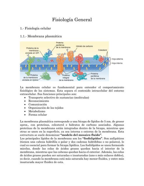 1 Introduccion A La Fisiologia General