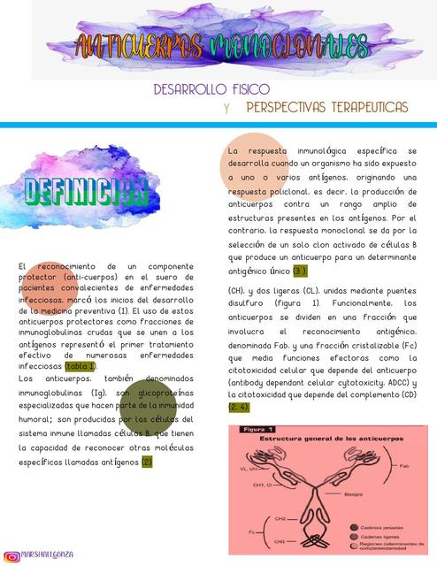 Anticuerpos Monoclonales Anticuerpo Terapia Udocz Anticuerpos Monoclonales Anticuerpo Terapia Udocz