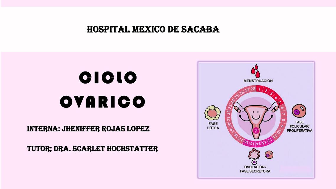 CICLO OVARICO CICLO UTERINO CICLO MENSTRUAL