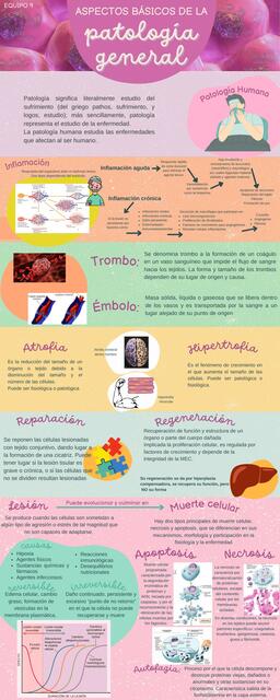 Generalidades de patología