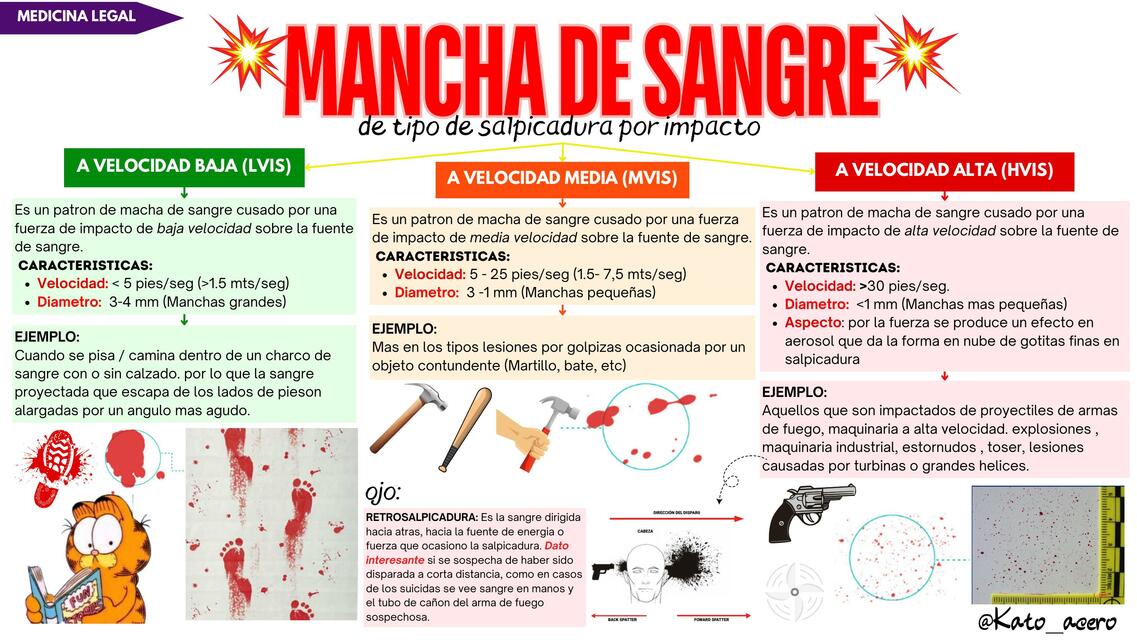 ESTUDIO DE MANCHA DE SANGRE