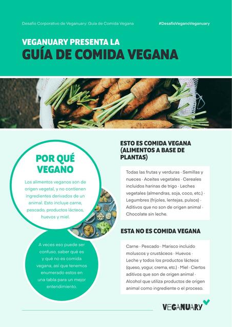 Guia de Comida Vegana