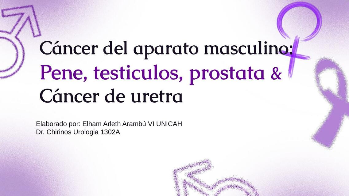 CA pene testiculos prostata uretra 2