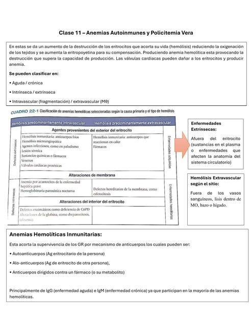 Clase 11 Anemias Autoinmunes y PV