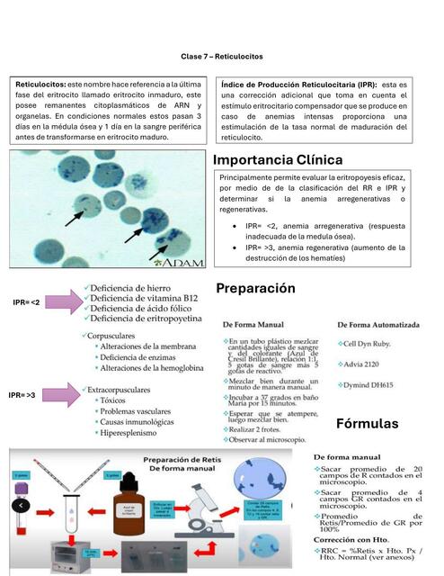 Clase 7 Reticulocitos