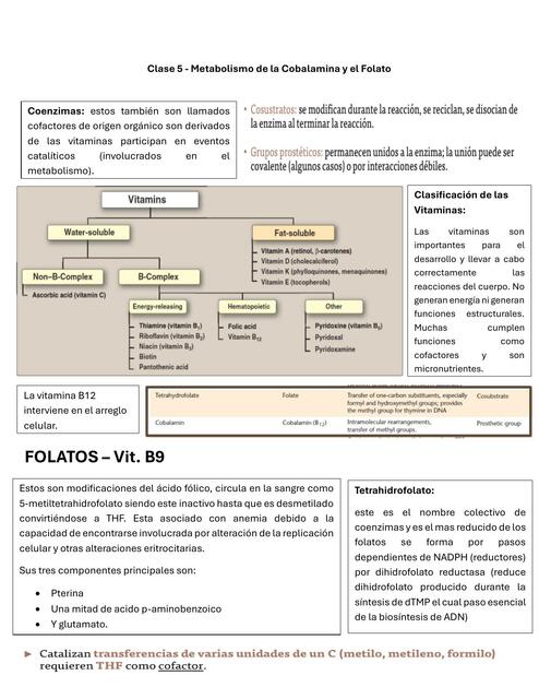 Clase 5 Metabolismo de la Cobalamina y el Folato