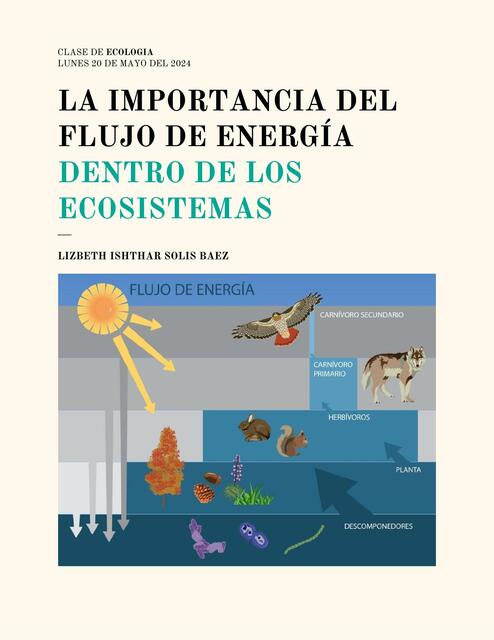 LA IMPORTANCIA DEL FLUJO DE ENERGÍA DENTRO DE LOS ECOSISTEMAS