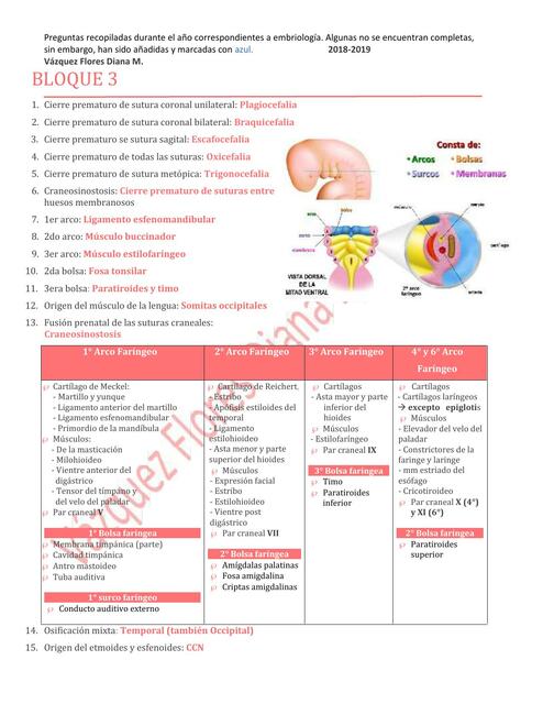 Bloque 3