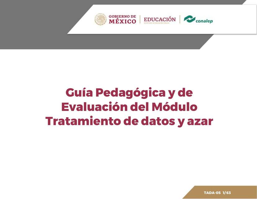 Guía pedagógica y de evaluación del módulo tratamiento de datos y azar 