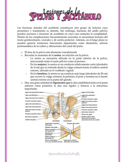 LESIONES DE LA PELVIS Y ACETÁBULO