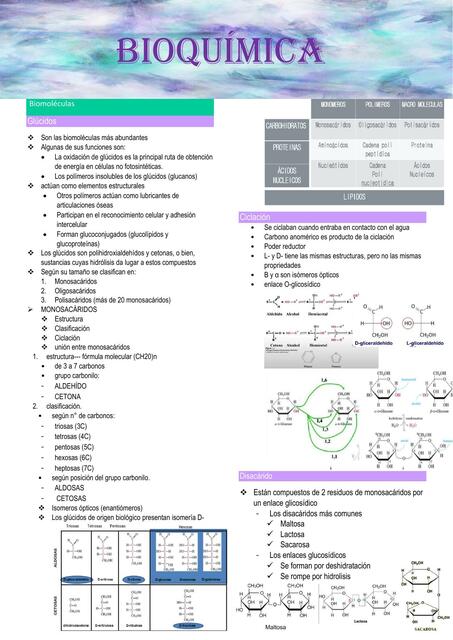 Bioquimicaa 2