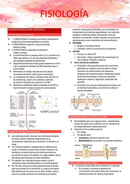 fisiologia 2