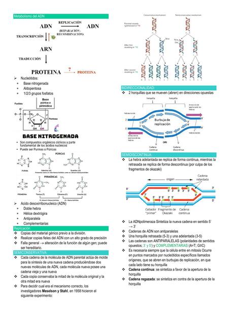 genetica bioqui