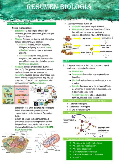 resumo bio 1 sem