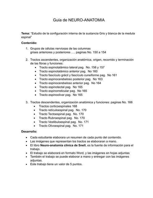 Guia trabajo de Neuro anatomia