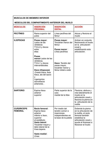 MUSCULOS DE MIEMBRO INFERIOR