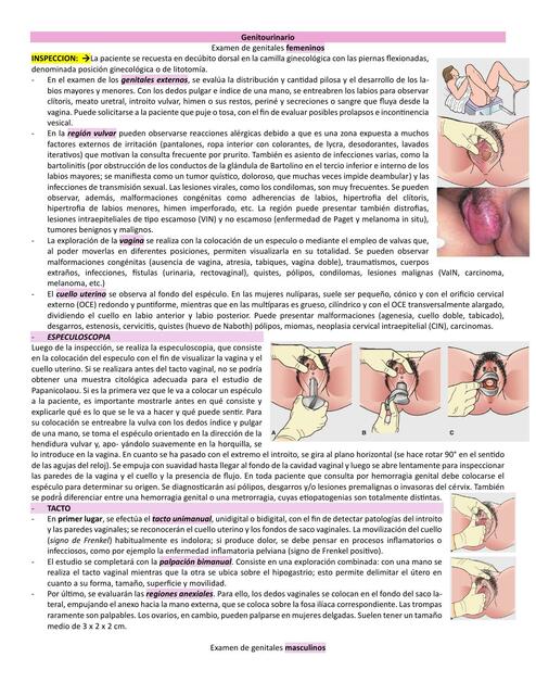 Examen Físico Genitourinario