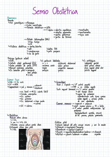 Semiología Obstétrica