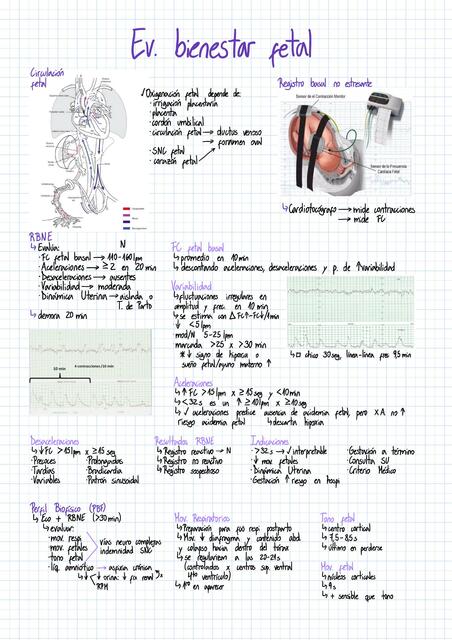 Evaluación de bienestar fetal