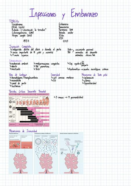 Infecciones y Embarazo