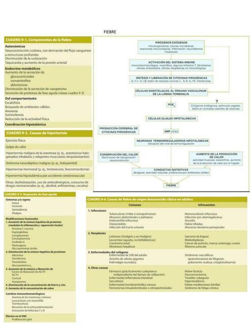 Fiebre 