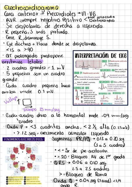 Apunte ECG