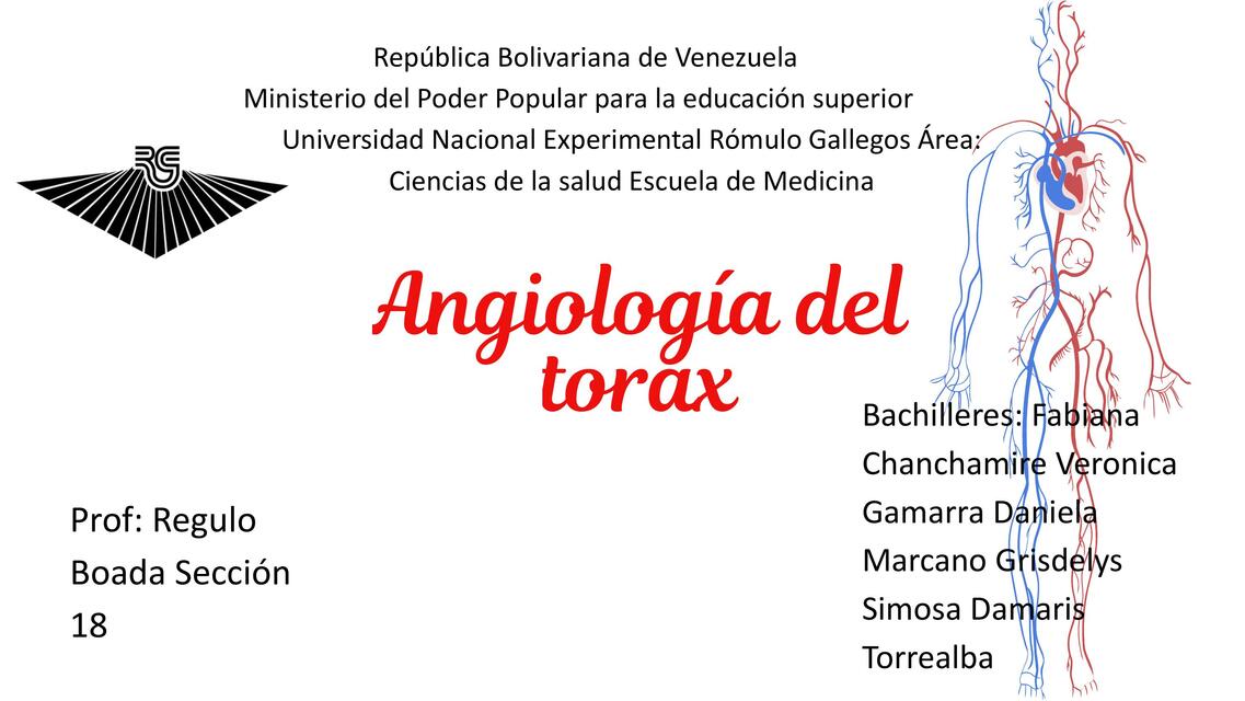 Angiologia del Torax