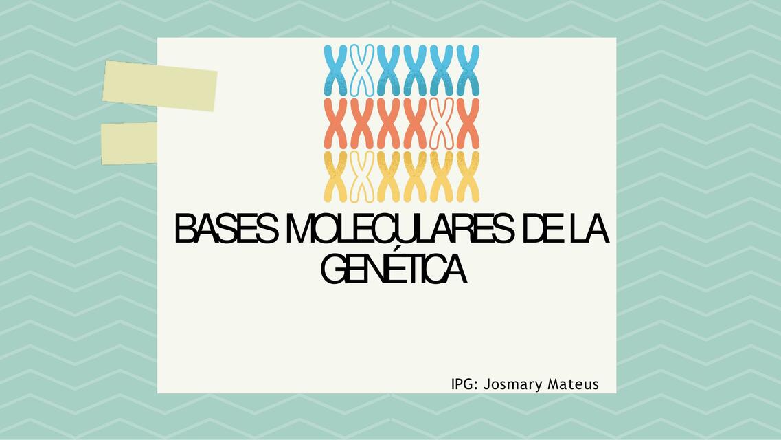 Bases moleculares