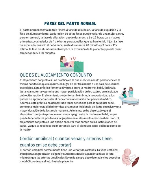 fases del parto normal pdf