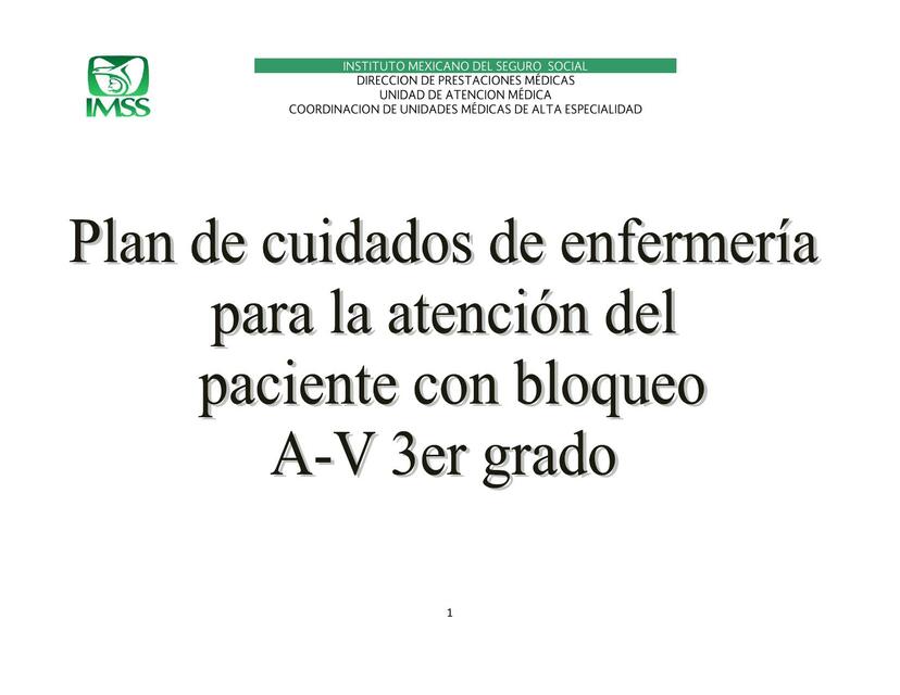 Plan de cuidados de enfermería para la atención de