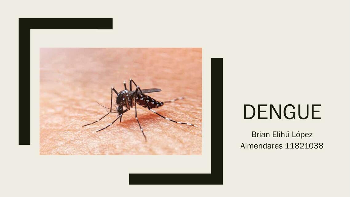 Dengue