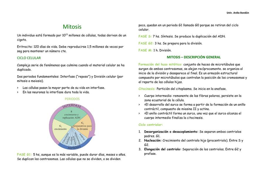 Mitosis y Meiosis