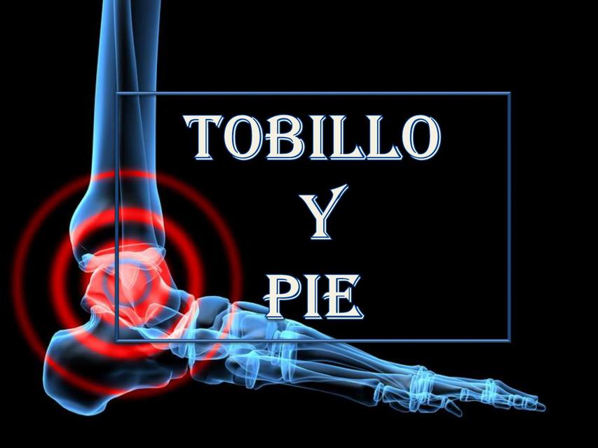 anatomia Tobillo y pié 1