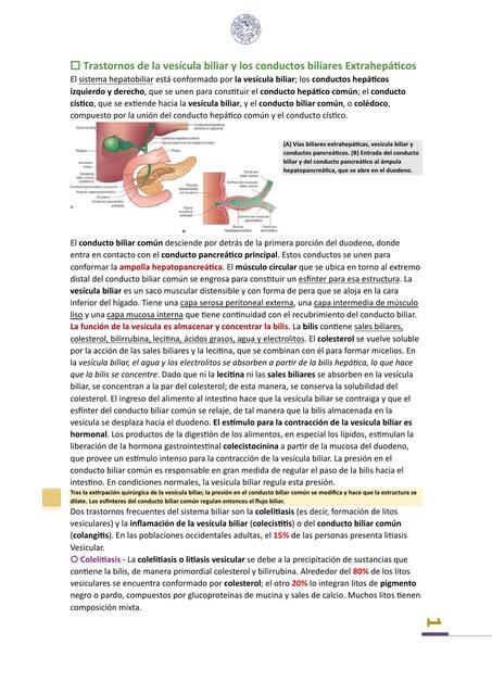 Fisiopatología - vesícula biliar y los conductos biliares extrahepaticos