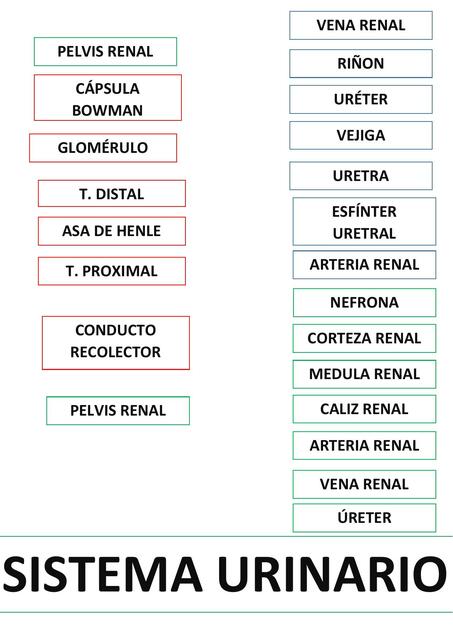 Kiara Xiomara Mercedes Udocz Kiara Xiomara Mercedes Udocz