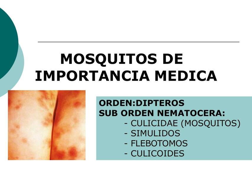 MOSQUITOS DE IMPORTANCIA MEDICA