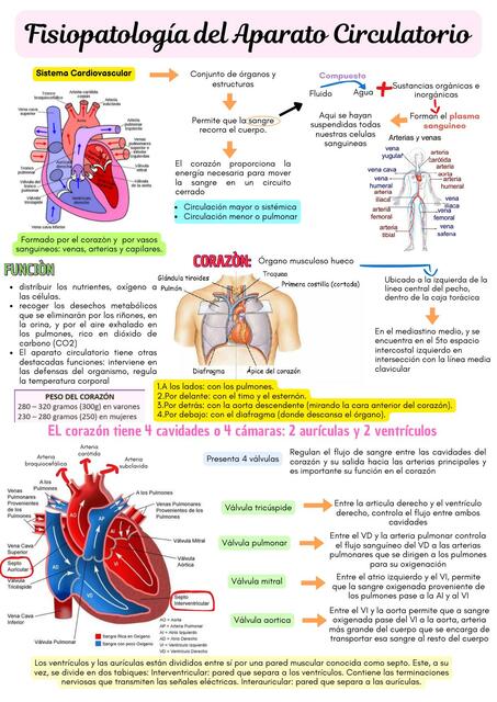 Fisiopatologia del Aparato Cardiovascular