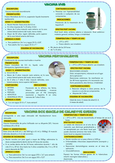 Esquema de vacunación 2024