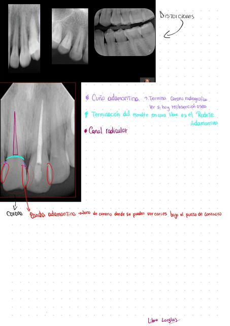 repaso s2 IMAGEN