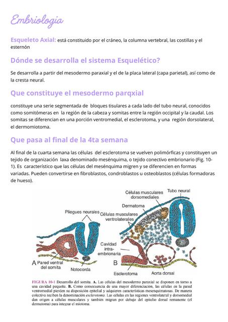 Embriologia