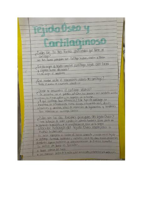 Tarea de Jacquie 3 1