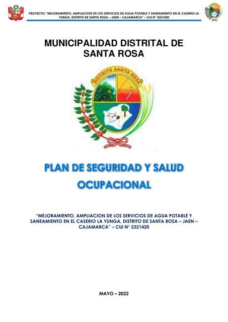 12 1 Plan de Seguridad y Salud Ocupacional LY