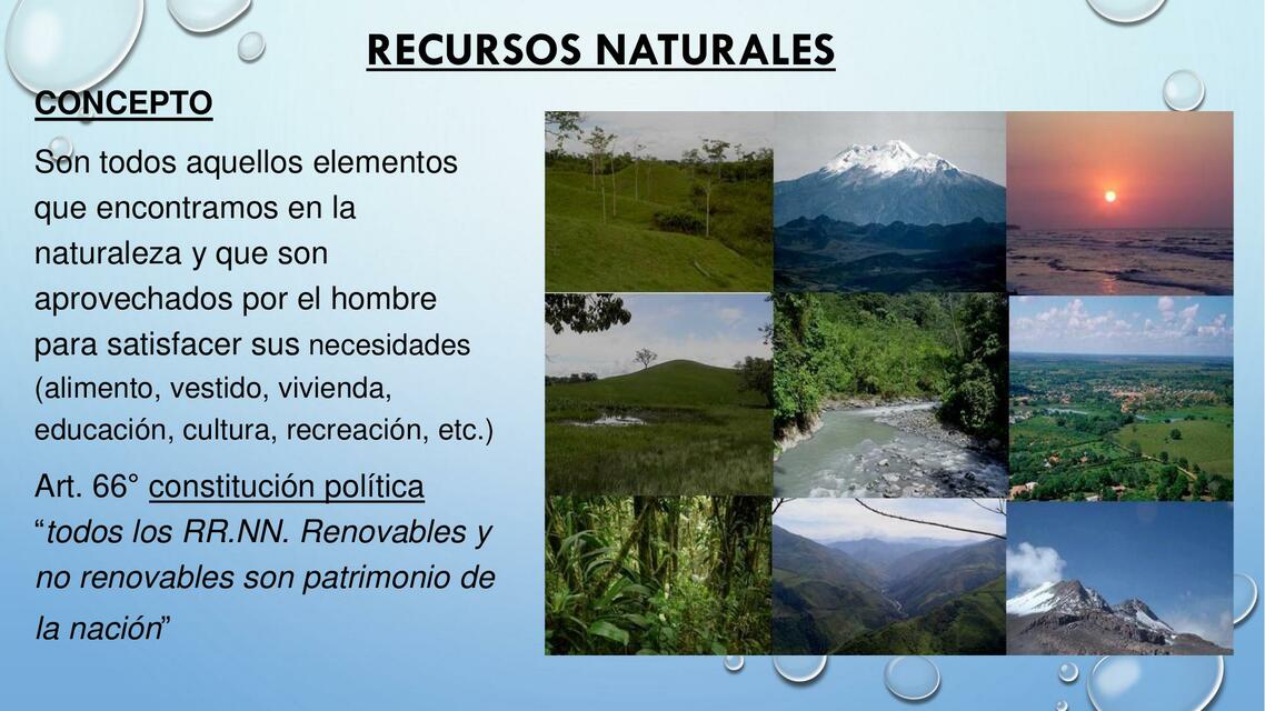 RECURSOS NATURALES