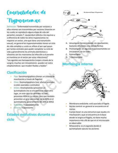 8. Generalidades de Trypanosomas