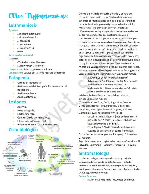 10. Otros Trypanosomas