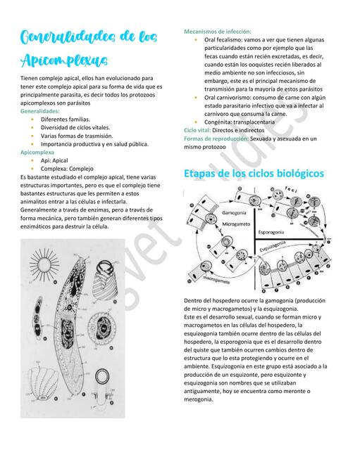 11. Generalidades de los Apicomplexas