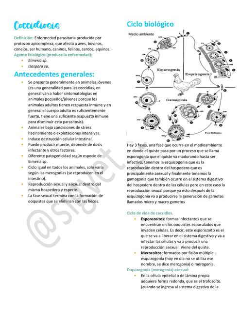 14. Coccidiosis