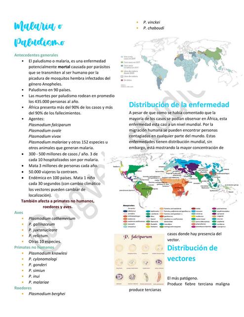 18. Malaria o Paludismo