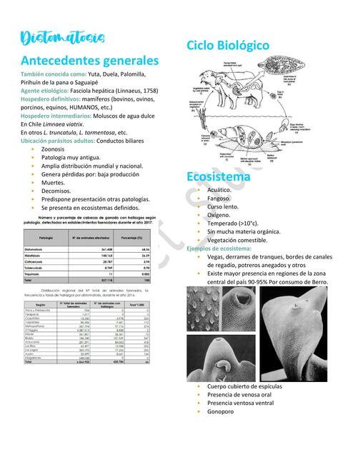 20. Distomatosis