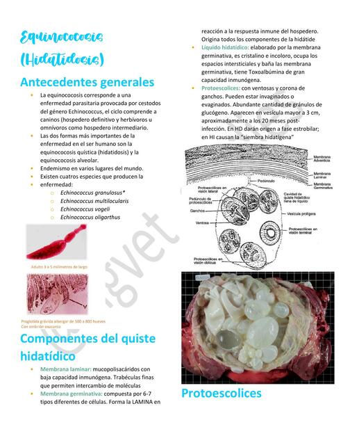 22. Equinococosis Hidatidosis